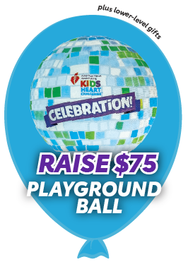 Raise $75 - Playground Ball