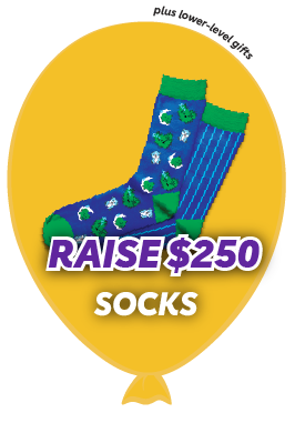 Raise $250 - Socks