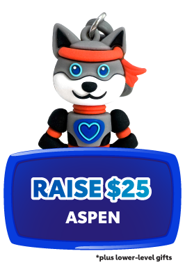 Watch Video Raise $25 - Aspen