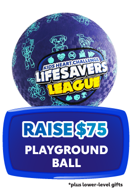 Raise $75 - Playground ball