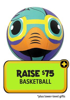 Raise $75 - Playground Ball