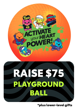 Raise $75 Playground Ball