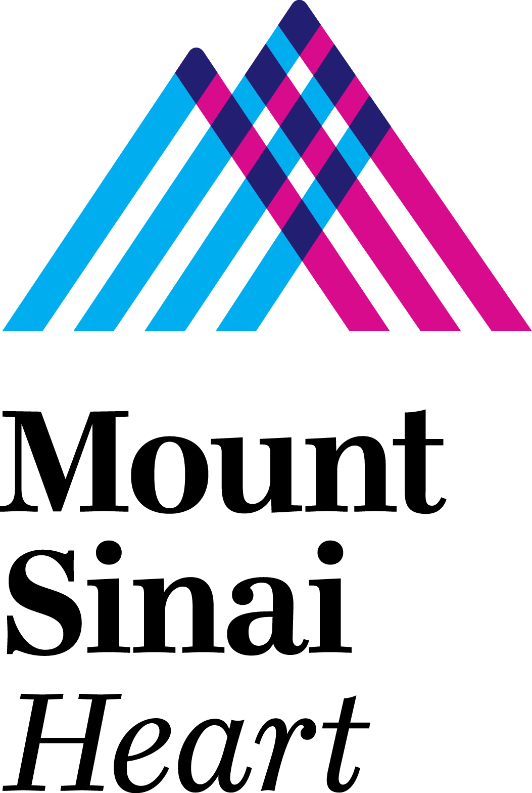 Mount Sinai Heart2
