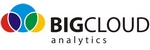 Big Cloud Analytics logo