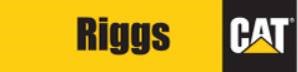 Riggs Cat Logo