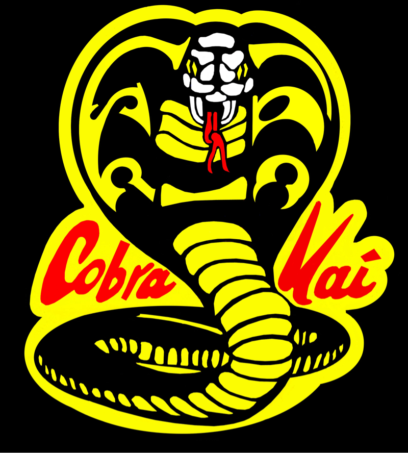 Cobra Kai fundraising page