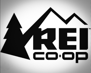 Team REI fundraising page