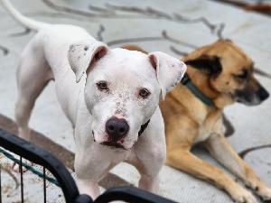 Join me in my efforts to support American Heart Association!