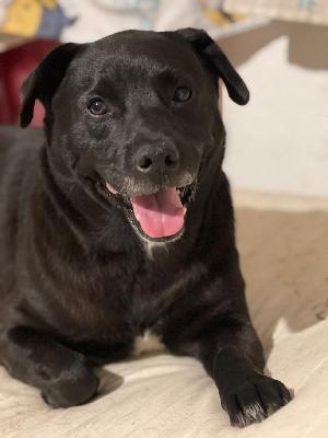 Hey friends, please read