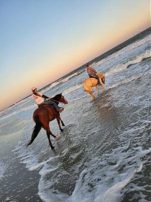 Join me in my efforts to support American Heart Association!