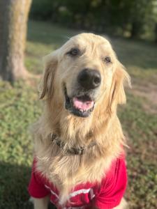 Cash's fundraising page