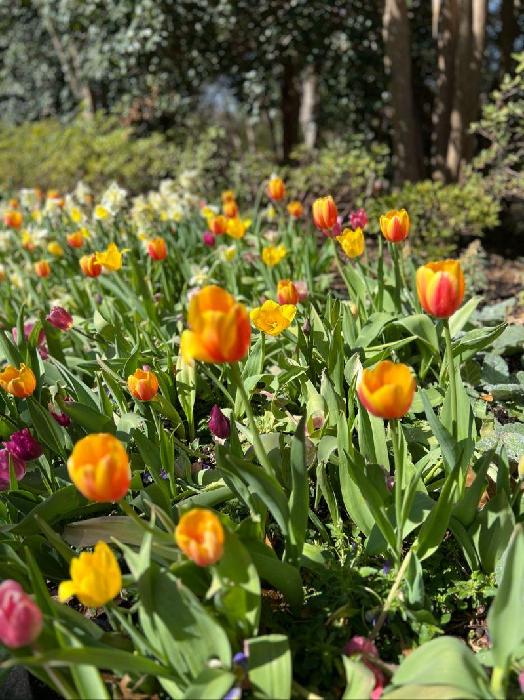 Emily's fundraising page