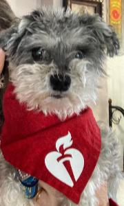 Cathy's fundraising page