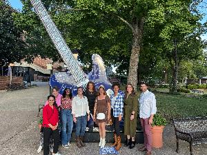 Lisa's fundraising page