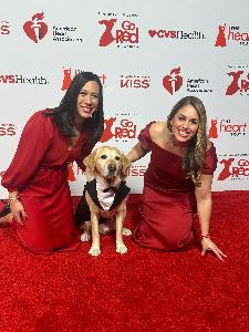 Kerry's fundraising page