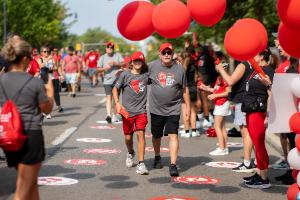 Hollis's fundraising page