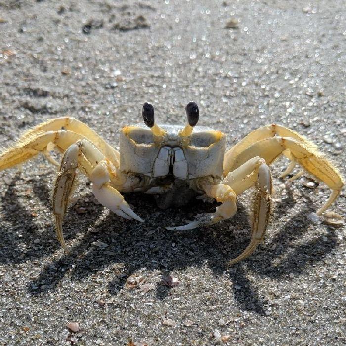 Shawn's fundraising page