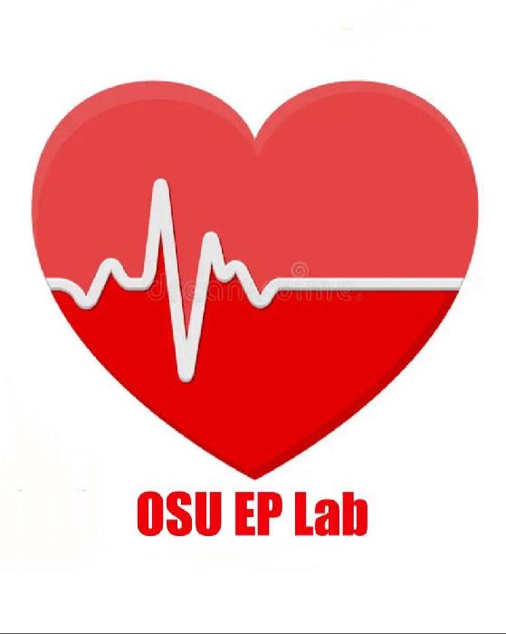 Amanda's fundraising page