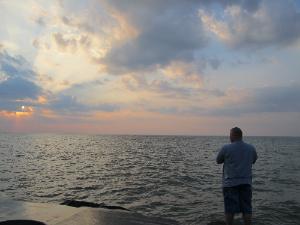 Alexis's fundraising page