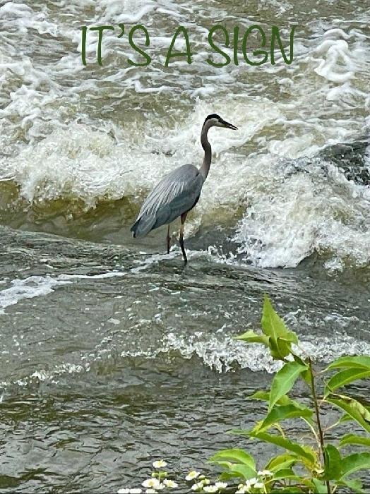 Barbara's fundraising page