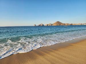 Damon's fundraising page