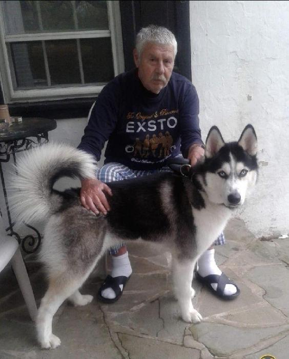 Giota's fundraising page