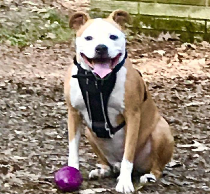 Jody's fundraising page