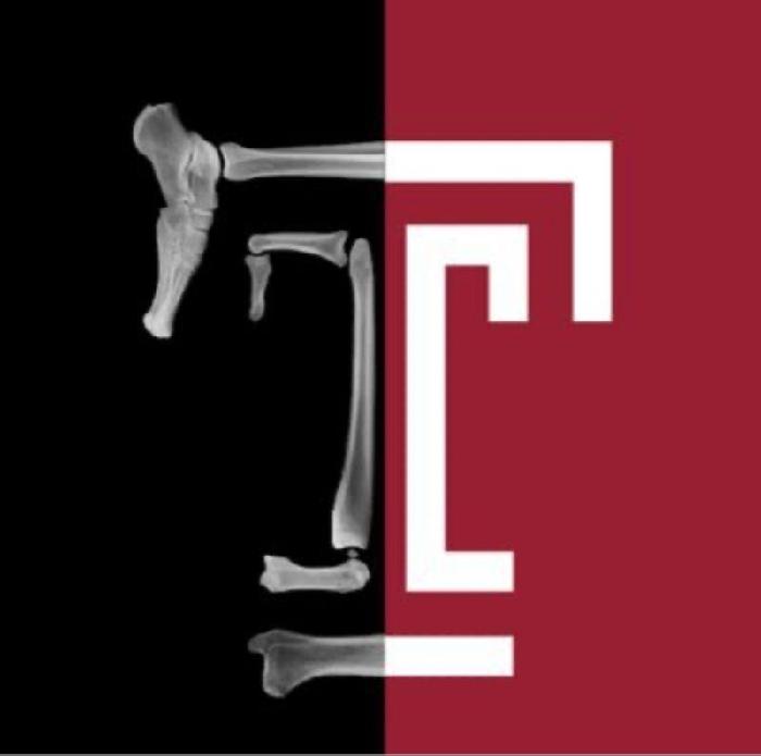 Julie's fundraising page