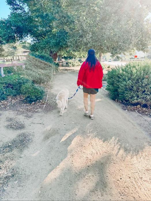 Xiomara's fundraising page