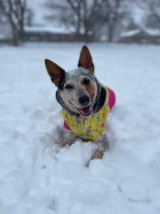 Linda's fundraising page