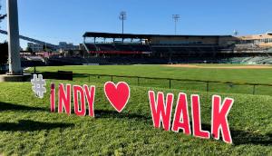 ELV-AHA-tors fundraising page