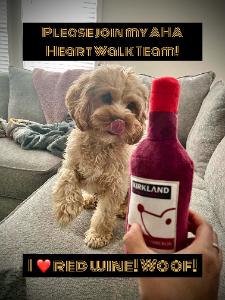 Kanwal (Walle)'s fundraising page