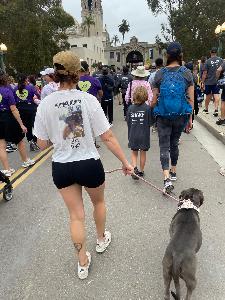 Nikki's fundraising page