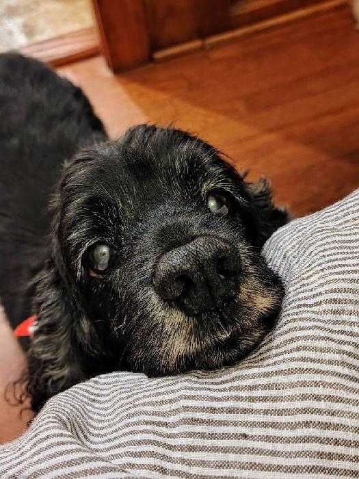 Michelle's fundraising page