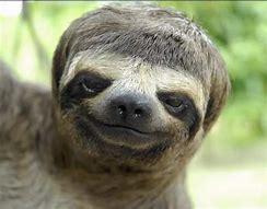 Jeff's fundraising page