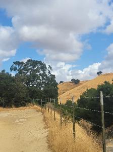 Joyce's fundraising page