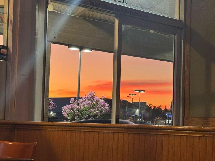 Diana's fundraising page