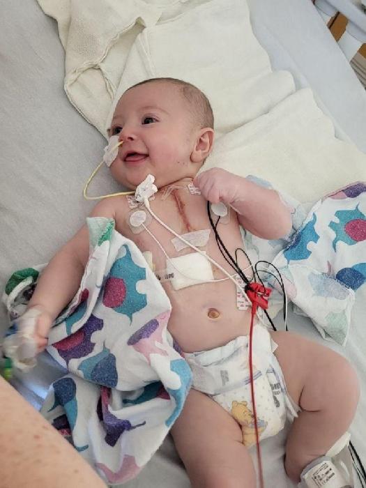 Ethan's Heart Guardians fundraising page