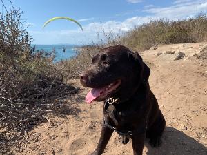 Kim's fundraising page