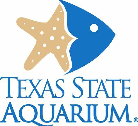 Stingray Striders fundraising page