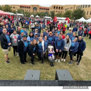 The CALM Chambers fundraising page