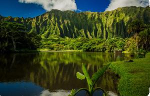 Tanya's fundraising page