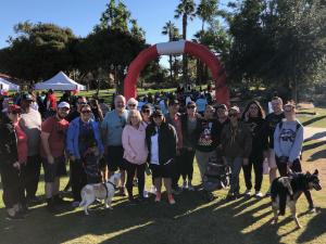 Molly's fundraising page