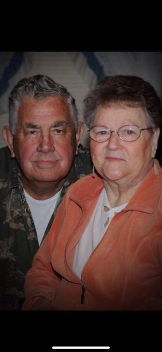 Lisa's fundraising page