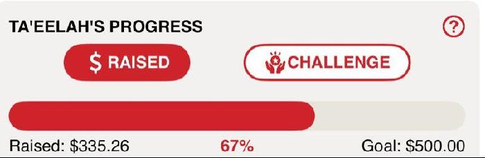 Ta'eelah's fundraising page