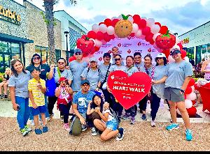 CSO Team fundraising page