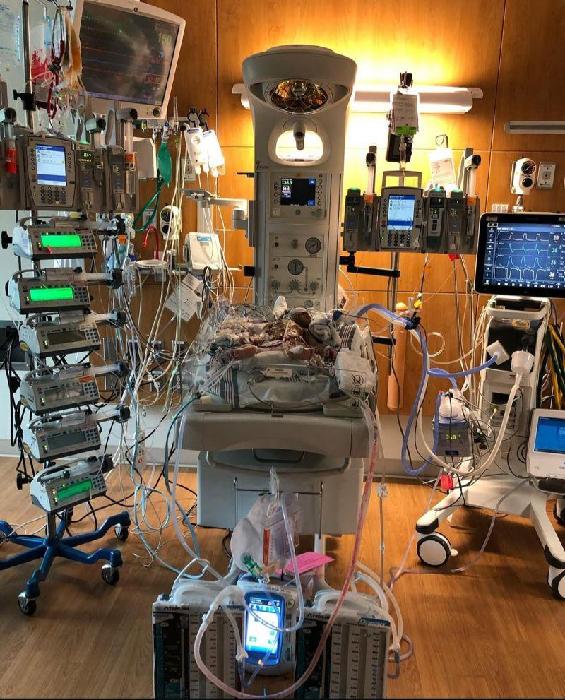 Amir's fundraising page