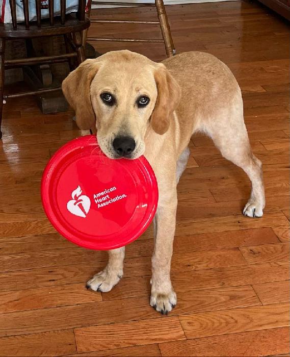 Morgan's fundraising page