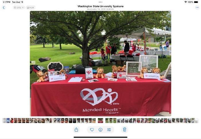 Nikki's fundraising page