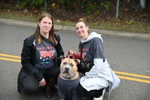 Seana's fundraising page